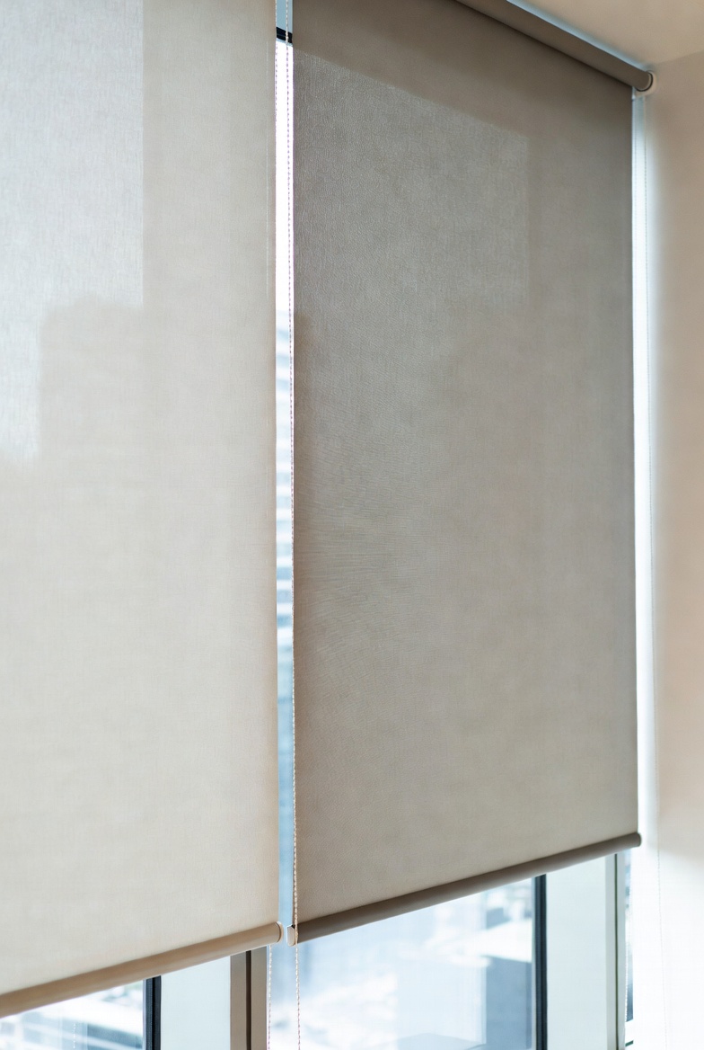 Modern roller blinds in contemporary living room